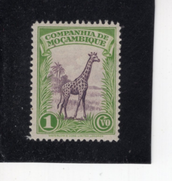 MOZAMBIQUE COMPANY(�����ũ ȸ��)-#175-1c-GIRAFFE(�⸰)-1937.5.16��