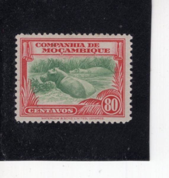 MOZAMBIQUE COMPANY(�����ũ ȸ��)-#186-80c-HIPPOPOTAMI(�ϸ�)-1937.5.16��