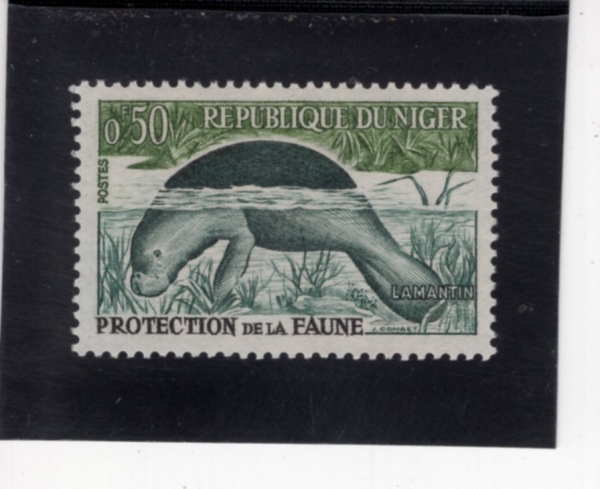 NIGER(������)-#107-50c-MANATEE(�ų�Ƽ)-1962.1.29��