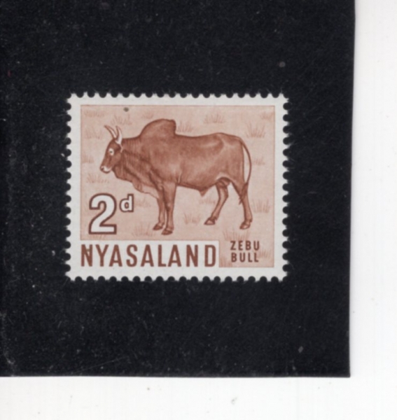 NYASLAND PROTECTORATE(�Ͼƻ췣��)-#125-2p-ZEBU BULL(����)-1964.1.1��