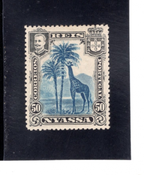 NYASSA(�Ͼƻ� ���۴�)-#32-50r-GIRAFFE(�⸰)-1901��