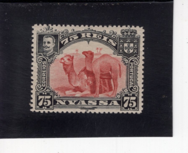 NYASSA(�Ͼƻ� ���۴�)-#33-75r-CAMELS(��Ÿ)-1901��