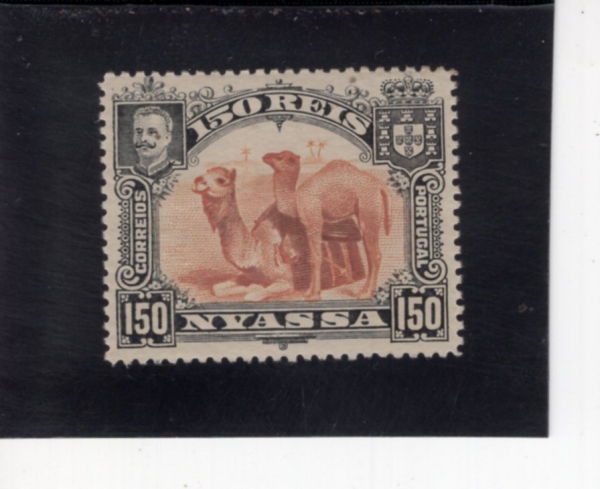 NYASSA(�Ͼƻ� ���۴�)-#36-150r-CAMELS(��Ÿ)-1901��