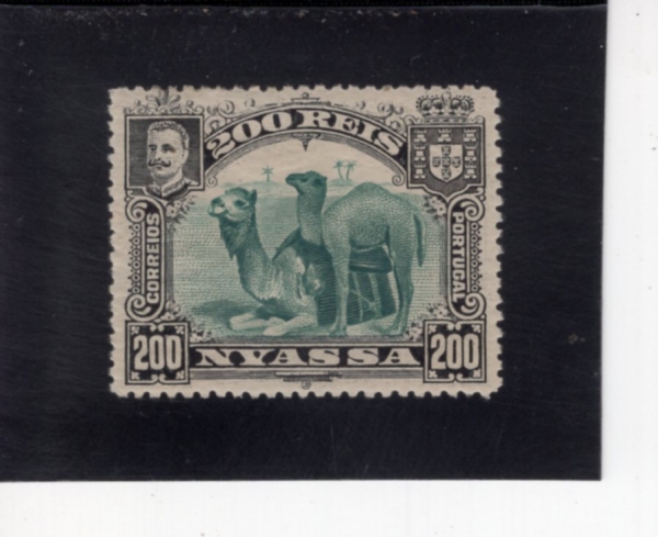 NYASSA(�Ͼƻ� ���۴�)-#37-200r-CAMELS(��Ÿ)-1901��