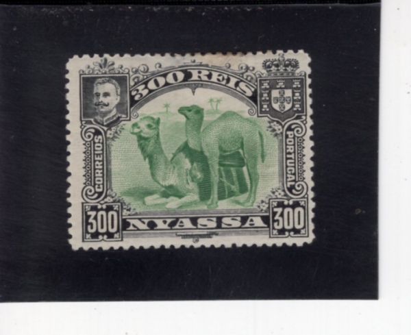 NYASSA(�Ͼƻ� ���۴�)-#38-300r-CAMELS(��Ÿ)-1901��