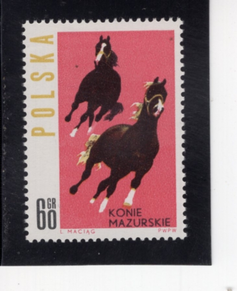 POLAND(������)-#1192-60g-HORSES FROM MAZURY REGION(���ָ�����-�����Ű)-1963.12.30��