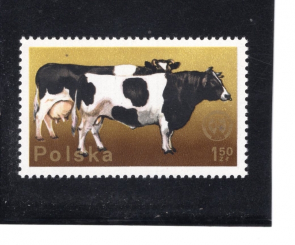 POLAND(������)-#2099-1.50z-CATTLE(��)-1975.6.23��