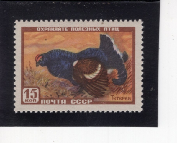 RUSSIA(���þ�)-#1917-15k-BLACK GROUSE(���)-1957.3.28��