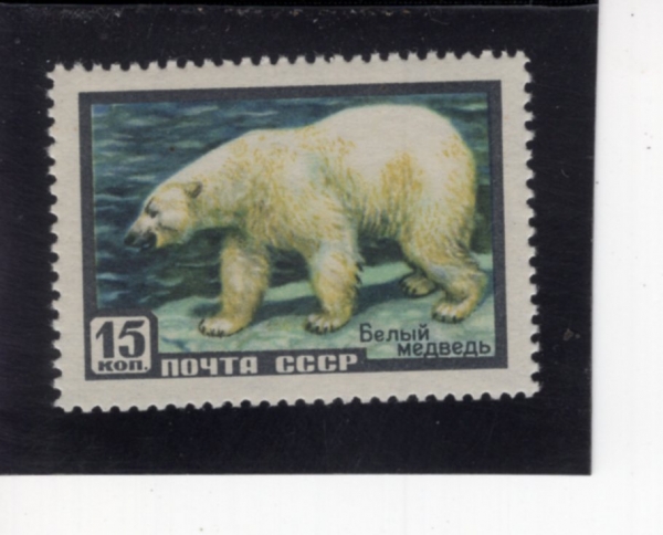 RUSSIA(���þ�)-#1918-15k-POLAR BEAR(�ϱذ�)-1957.3.28��