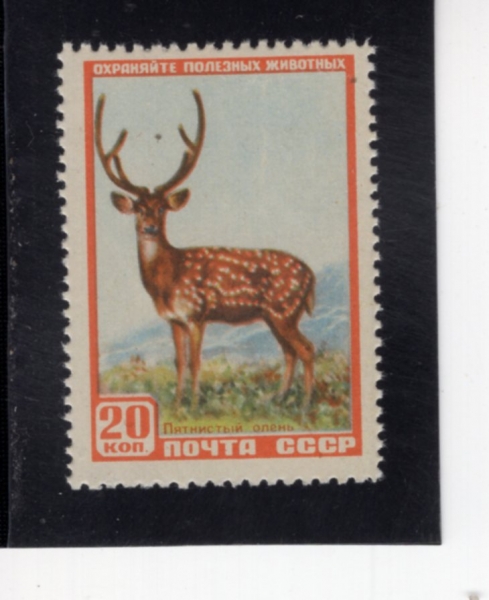 RUSSIA(���þ�)-#1919-20k-AXIS DEER(ġŻ)-1957.3.28��