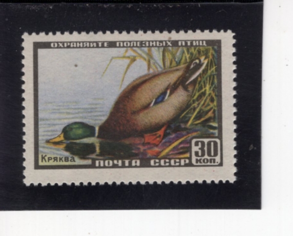 RUSSIA(���þ�)-#1921-30k-MALLARD(û�տ���)-1957.3.28��