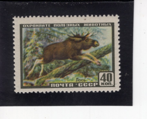RUSSIA(���þ�)-#1922-40k-EUROPEAN ELK(��ũ)-1957.3.28��