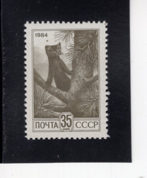 RUSSIA(���þ�)-#5286-35k-SABLE(���)-1984.9.5��