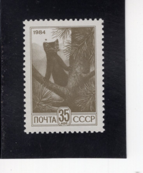 RUSSIA(���þ�)-#5286a-35k-SABLE(���)-1984.9.5��