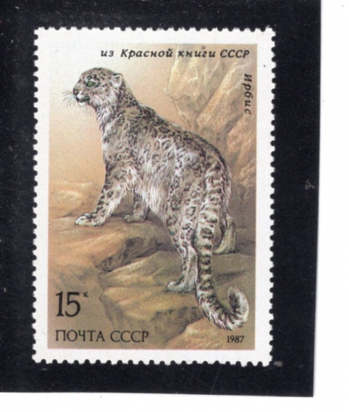 RUSSIA(���þ�)-#5556-15k-SNOW LEOPARD(��ǥ��)-1987.5.15��