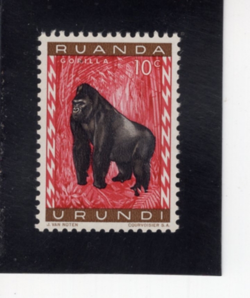 RUANDA-URUNDI(��ȴ�-����)-#137-10c-MOUNTAIN GORILLA(��ǰ�����)-1959��