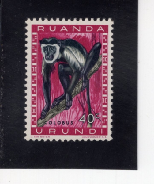RUANDA-URUNDI(��ȴ�-����)-#139-40c-BLACK-AND-WHITE COLOBUS(��� �ݷκν�)-1959��