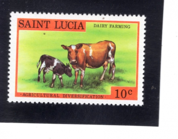 ST.LUCIA(����Ʈ ��þ�)-#465-10c-JERSEY COWS(���� ��)-1979.7.2��