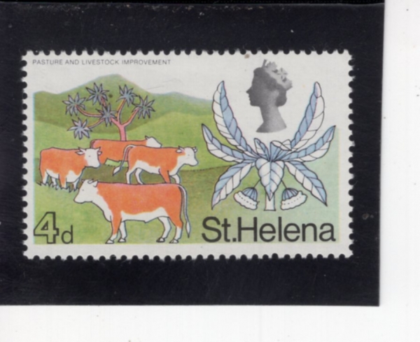 ST. HELENA(����Ʈ�ﷹ��)-#214-4p-PASTURE AND LIVESTOCK IMPROVEMENT(�Ҹ� ���� ���� ����)-1968.11.4��