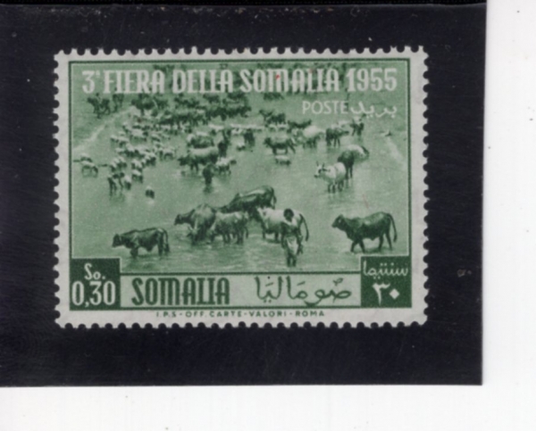 SIERRA LEONE(�ÿ��󸮿�)-#206-30c-CATTLE FORDING STREAM(������ �ǳʴ� ��)-1955.9.24��