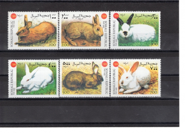 SOMALI(�Ҹ���)-#NO(6��)-RABBIT(�䳢)-1999��