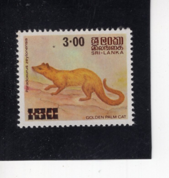 SRI LANKA(������ī)-#595-3r-GOLDEN PALM CAT(Ȳ�ݾ��ڻ��������)-1981.2.10��