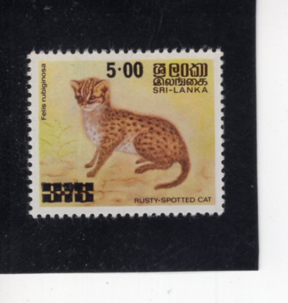 SRI LANKA(������ī)-#596-5r-MOUSE DEER(��罿)-1981.2.10��