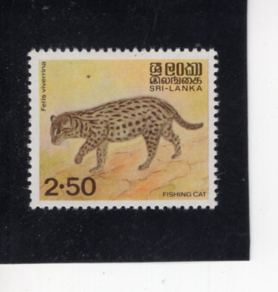 SRI LANKA(������ī)-#728-2.50r-FISHING CAT(�������̻�)-1983.6.1��