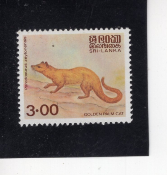 SRI LANKA(������ī)-#729-3r-GOLDEN PALM CAT(Ȳ�ݾ��ڻ��������)-1983.6.1��