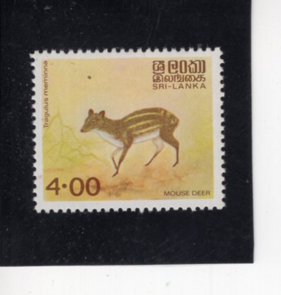 SRI LANKA(������ī)-#730-4r-TRAGULUS MEMINNA(������ �κ������)-1983.6.1��