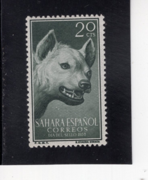 SPANISH SAHARA(�����η� ���϶�)-#88-20c-STRIPED HYENA(�ٹ��� ���̿���)-1957.11.23��