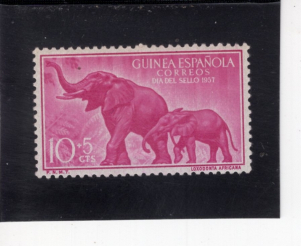 SPANISH GUINEA(�����η� ���)-#B43-10+5c-ELEPHANT(�ڳ���)-1957.11.23��