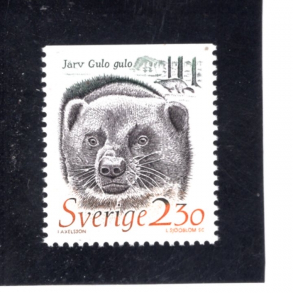 SWEDEN(������)-#1723-2.30k-GULO GULO(�����)-1989.1.31��