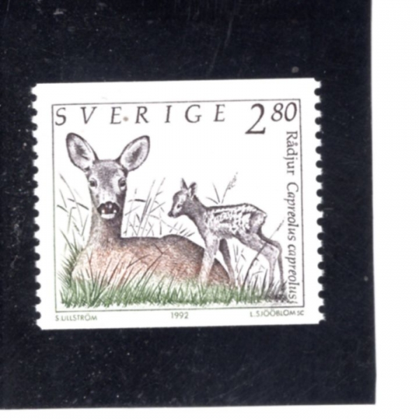 SWEDEN(������)-#1927-2.80k-CAPREOLUS CAPREOLUS(���)-1992.1.28��