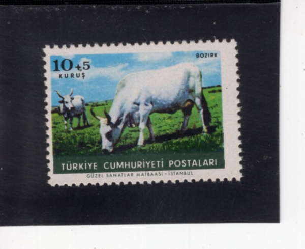 TURKEY(Ƣ��Ű��)-#B98-10+5k-STEPPE CATTLE(�밡�� ȸ��)-1964.10.4��