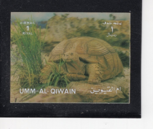UMM AL QIWAIN(�� �� ������)-#NO2-1r-TURTLE(�ź���)-1965��