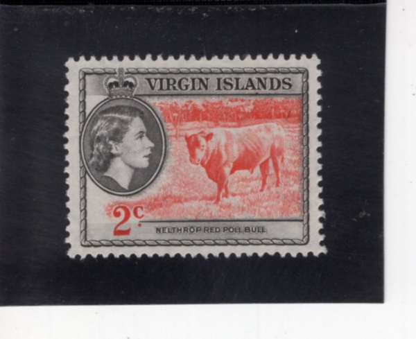 VIRGIN ISLANDS(���� ����)-#117-2c-NELTHROP RED POLL BULL(�ڽ��� ���� �� Ȳ��)-1956.11.1��