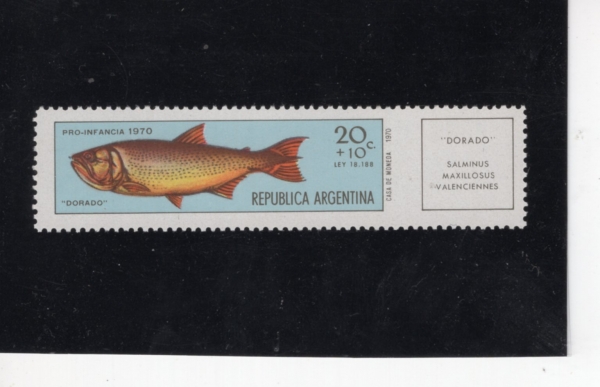 ARGENTINA(�Ƹ���Ƽ��)-#B54-20+10c-DOLPINFISH(������������)-1971.2.20��