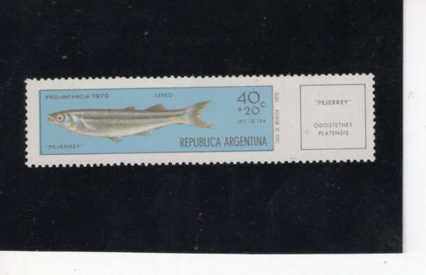 ARGENTINA(�Ƹ���Ƽ��)-#CB54-40+20c-ODOSTETHES PLATENSIS(�����׽��׽� �ö��ٽý�)-1971.2.20��