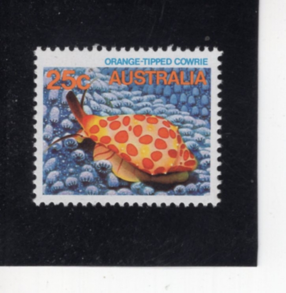 AUSTRALIA(����Ʈ���ϸ���)-#907-25c-ORANGE-TIPPED COWRIE(������ ī�츮)-1984.6.18��