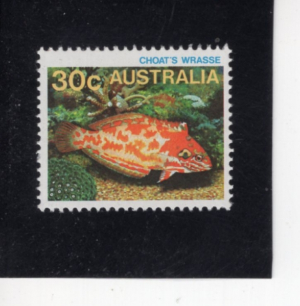 AUSTRALIA(����Ʈ���ϸ���)-#908-30c-CHOAT\