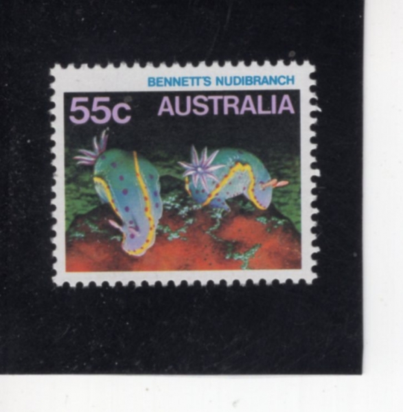 AUSTRALIA(����Ʈ���ϸ���)-#913-55c-BENNETT\