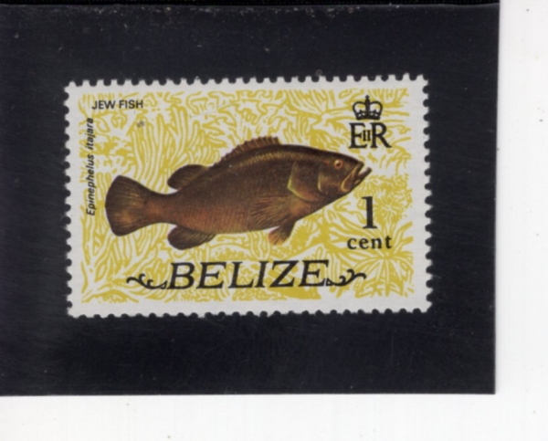 BELIZE(������)-#328-1c-JEWFISH(���ǽ�)-1974.1.1��