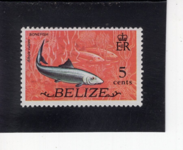 BELIZE(������)-#332-5c-BONEFISH(���ǽ�)-1974.1.1��