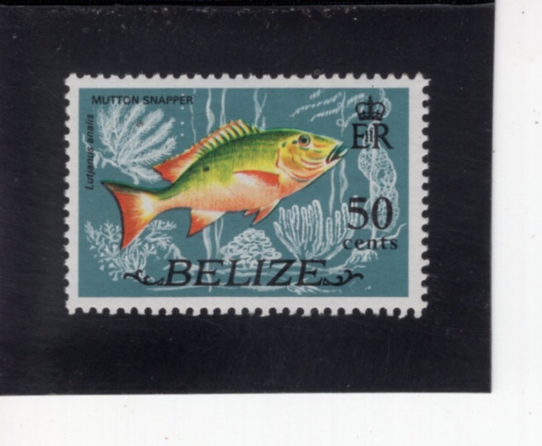 BELIZE(������)-#336-50c-MUTTONFISH(����� ����)-1974.1.1��
