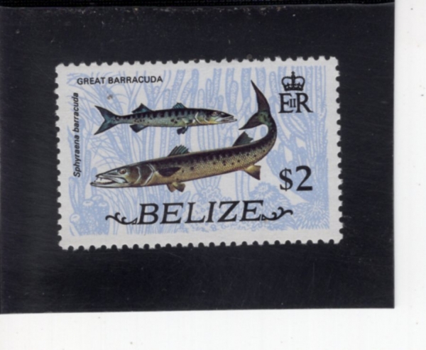 BELIZE(������)-#338-$2-GREAT BARRACUDAS(�׷���Ʈ �ٶ�����)-1974.1.1��