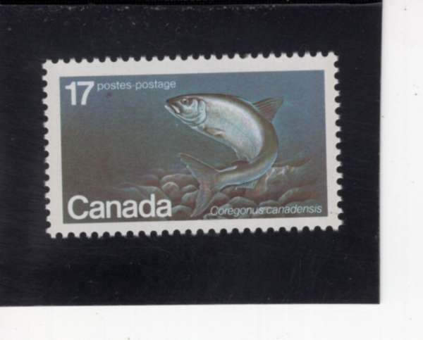 CANADA(ĳ����)-#853-17c-ATLANTIC WHITEFISH(�뼭��������)-1980.5.6��