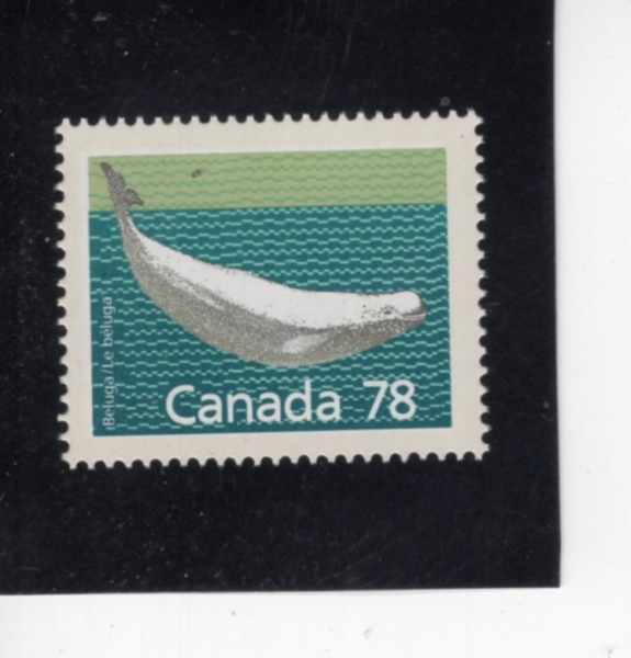 CANADA(ĳ����)-#1179-78c-BELUGA WHALE(���簡 ����)-1990.1.12��