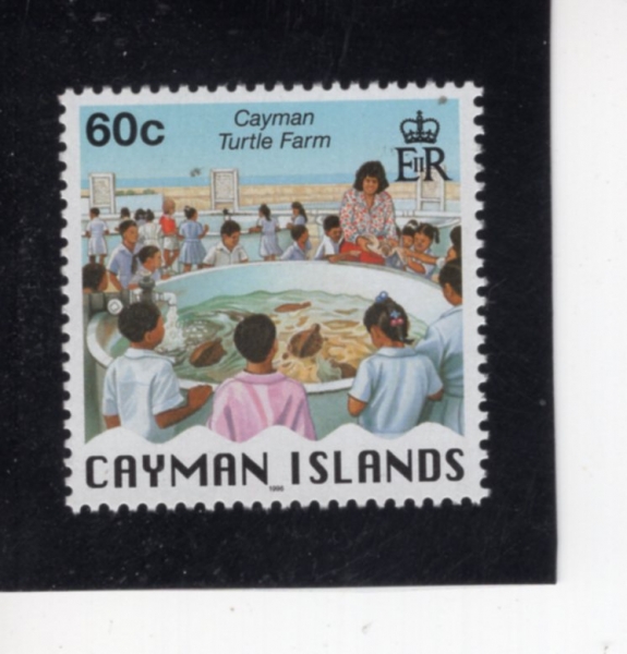 CAYMAN ISLANDS(���̸� ����)-#727-60c-SCHOOL CHILDREN, CAYMAN TURTLE FARM(�л�, �ź��� ����)-1996.9.26��