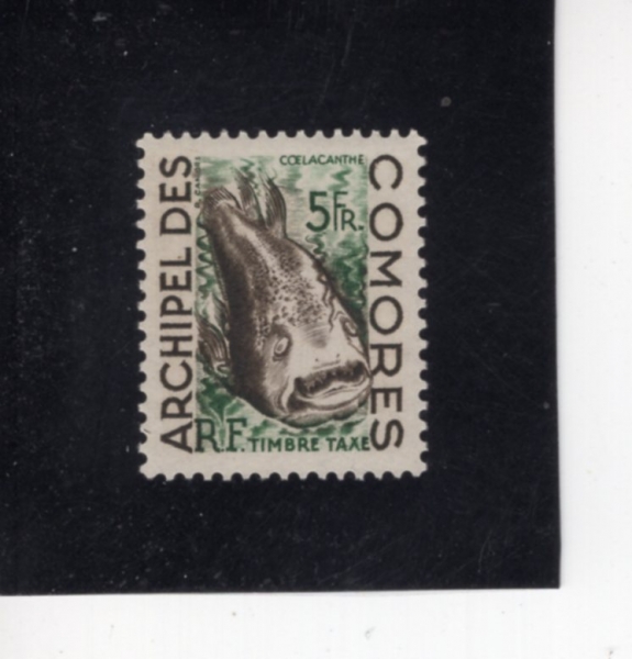 COMORO ISLANDS(�ڸ�� ����)-#J3-5fr-COELACANTH(�Ƕ�ĵ��)-1954��